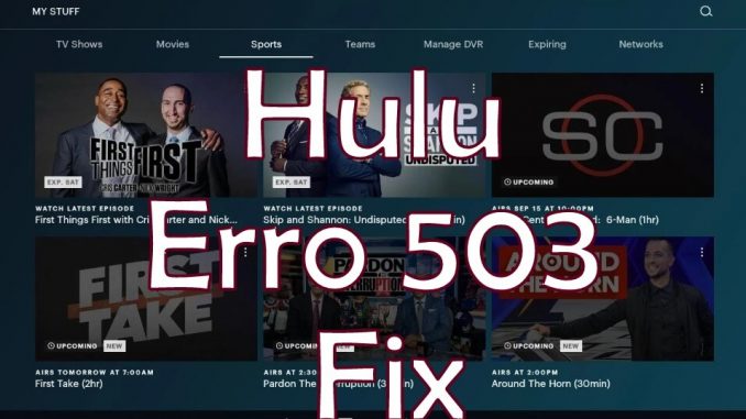 Hulu Error 503 Fix