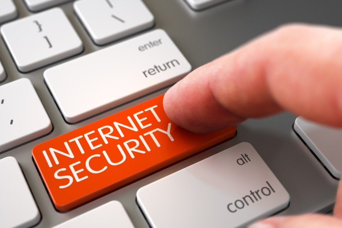 Importance of Internet Security