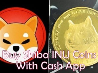 Shiba Token With Cash App