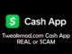 Tweakmod.com Cash App real