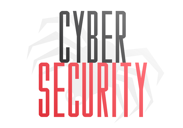 VPN Cyber security