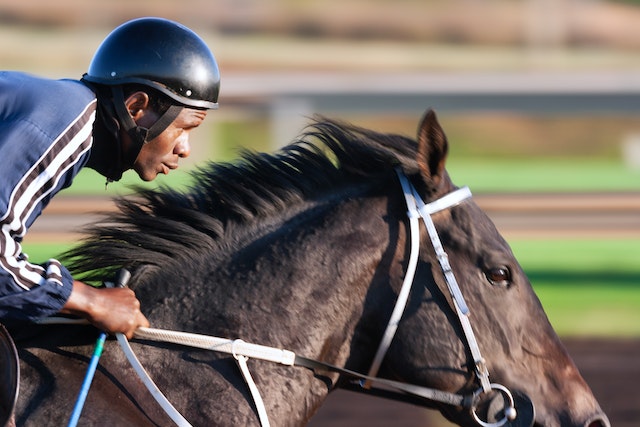 Betting on Horse Races