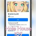 HoleHouse iOS iPhone