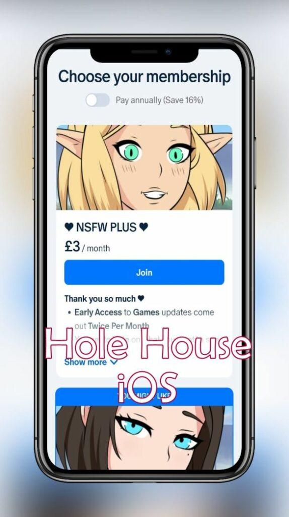 HoleHouse iOS iPhone