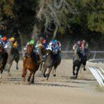 Be careful to avoid the horse racing betting pitfalls