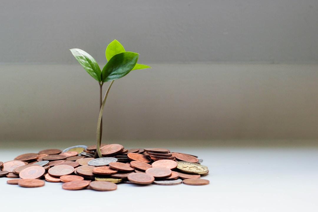 A plant growing from coins, representing the revenue growth from proposal management