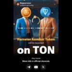 Hamster Kombat Unable to get Config Error Fixed Hamster Kombat Request Error