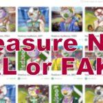 Treasure NFT Real or Fake? A Deep Dive into the Red Flags and Risks Treasure NFT Real or Fake