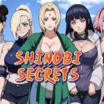Shinobi Secrets Cheat Codes