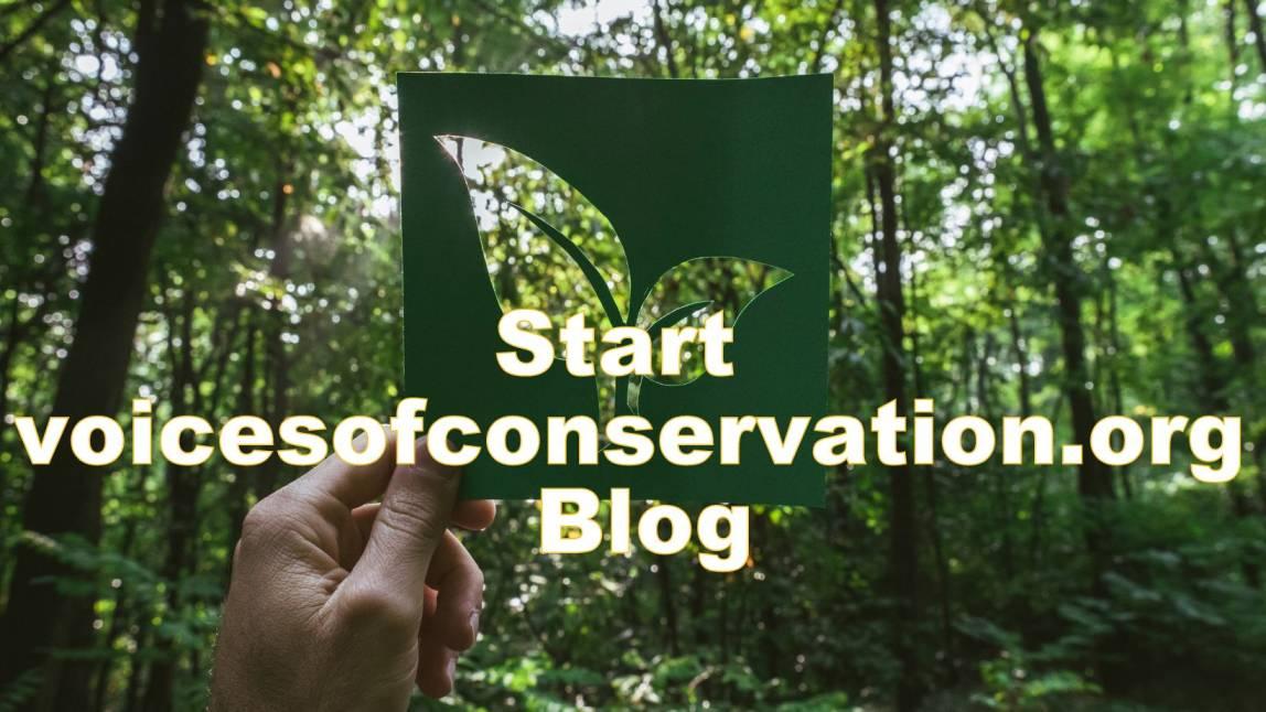 Start Blog Your Guide to Launching an — free download