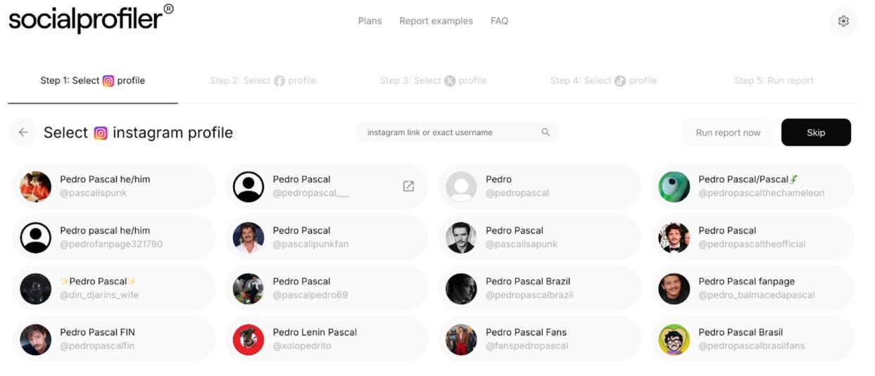 How to Find People on Social Media (Anyone From Anywhere) 2 Socialprifiler’s social media deep search results for ‘Pedro Pascal’