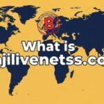 bajilivenetsss.com What is