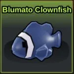 Blumato Clownfish