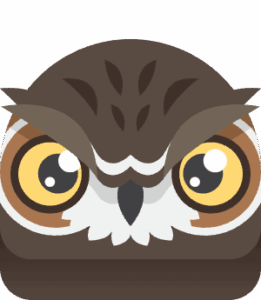 Blooket Blooks Guide: Rarities, Packs, Drop Rates 50 Owl