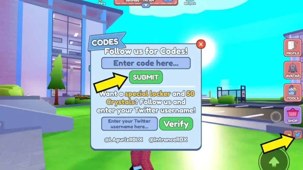 Bayside High School Codes