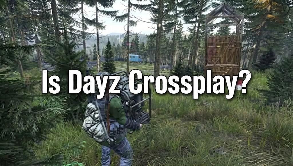 Is DayZ Crossplay? The Brutal Truth You Need to Know 1 Is DayZ Crossplay