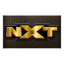 WWE NXT Player Banner