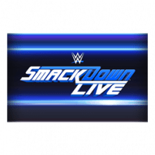 WWE SmackDown Live! Player Banner