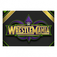 WWE WrestleMania 34 Player Banner