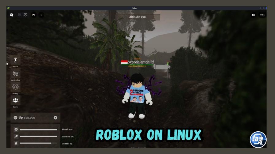A clean "Roblox on Linux — It Works!" type graphic showing a Roblox game running beautifully on a Linux desktop