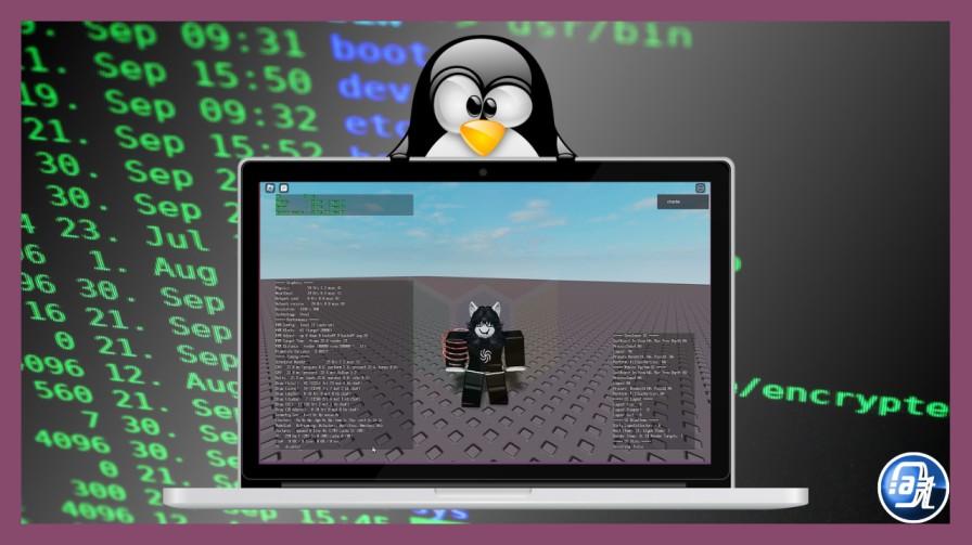 Screenshot of Sober running inside a Chromebook's Linux terminal environment — this targets a niche but high-intent audience (Chromebook Roblox players are a huge search segment)