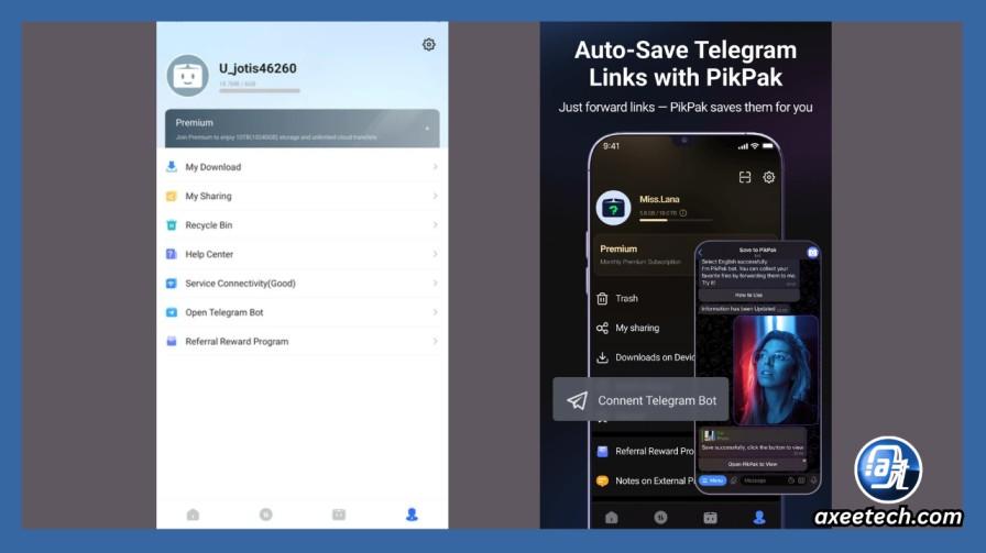PikPak Telegram bot setup guide — screenshot of @PikPak_Bot in Telegram showing how to forward a magnet link to save files directly to PikPak cloud drive