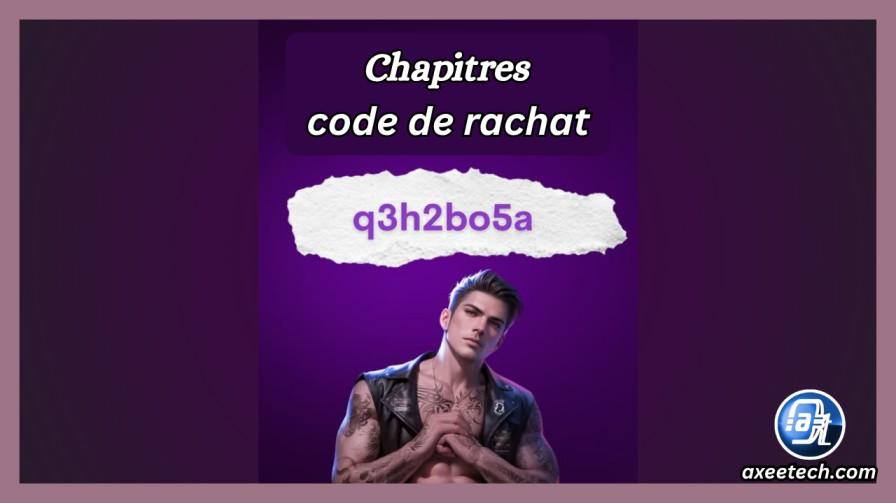 Remise Chapter codes guide for French-speaking players