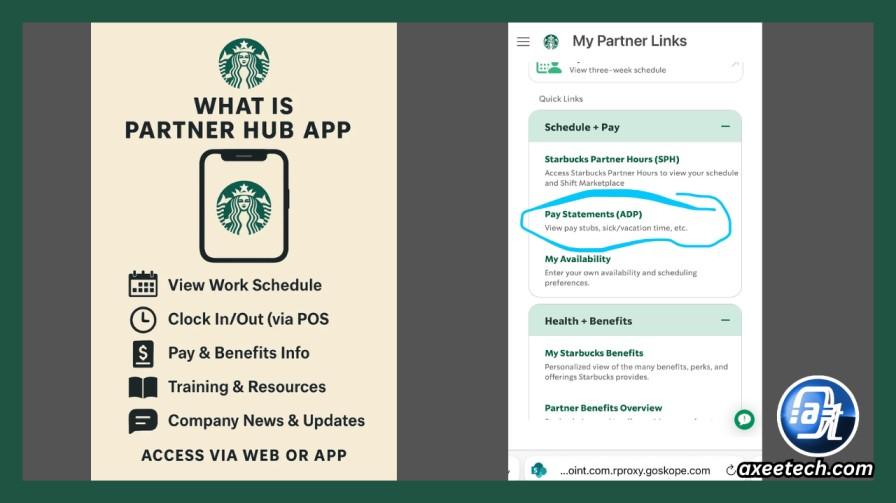 Starbucks Partner Hub MPI My Partner Info vacation sick time balance screen
