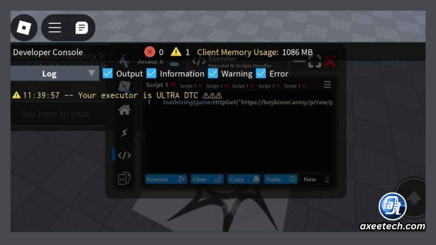 Solara Executor successfully injecting script into Roblox game 