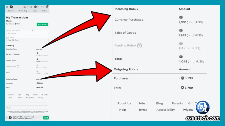 Roblox My Transactions Summary tab showing incoming and outgoing Robux