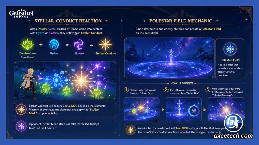 Genshin Impact 7.x Tsaritsa and Snezhnaya Leaks: Everything Confirmed and Rumored 5 Stellar-Conduct reaction and Polestar Field mechanic diagram Genshin Impact