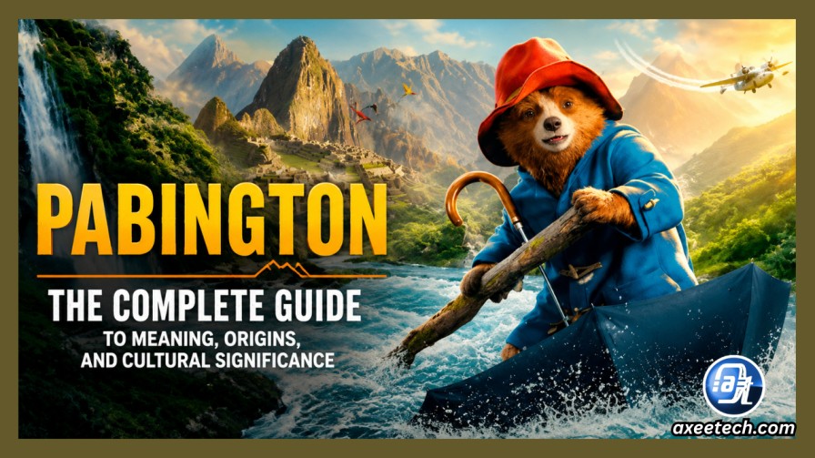 Pabington meaning and concept overview