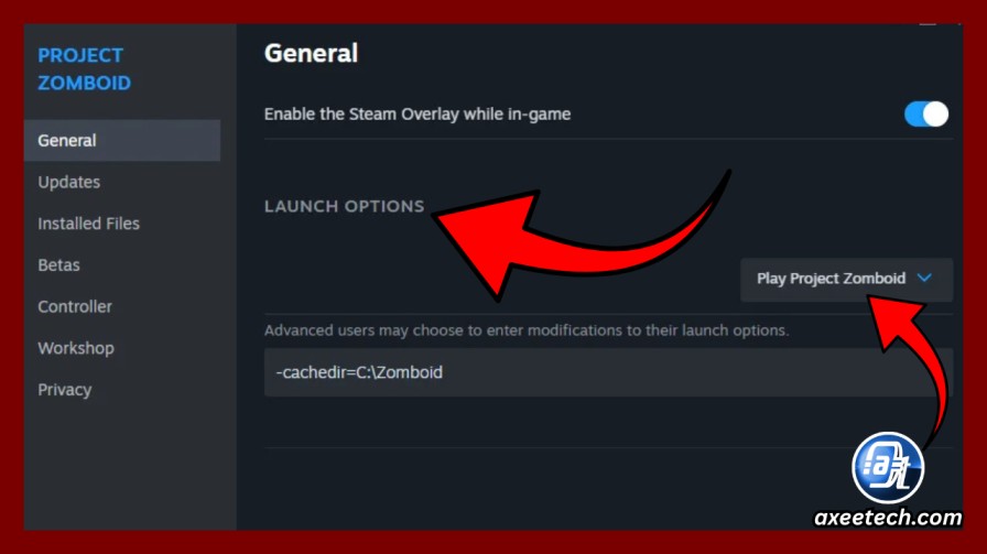 Steam Launch Options window for Project Zomboid